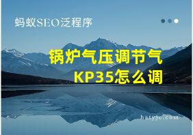 锅炉气压调节气KP35怎么调