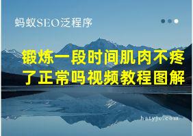 锻炼一段时间肌肉不疼了正常吗视频教程图解