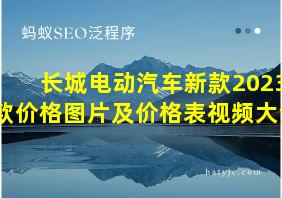 长城电动汽车新款2023款价格图片及价格表视频大全