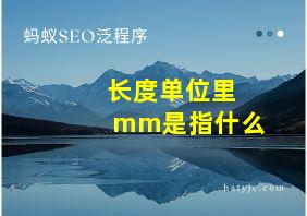 长度单位里mm是指什么