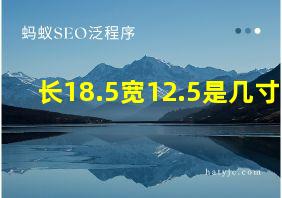 长18.5宽12.5是几寸