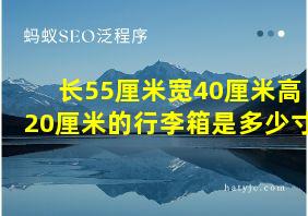 长55厘米宽40厘米高20厘米的行李箱是多少寸