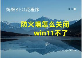 防火墙怎么关闭win11不了