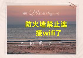 防火墙禁止连接wifi了