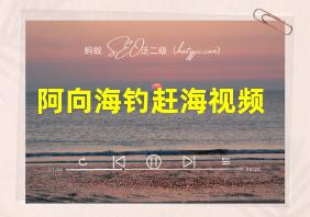 阿向海钓赶海视频