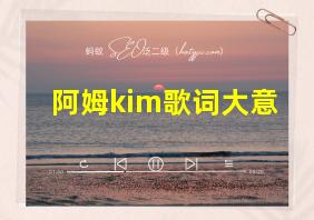 阿姆kim歌词大意