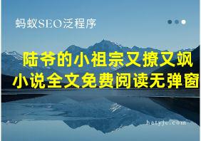 陆爷的小祖宗又撩又飒小说全文免费阅读无弹窗