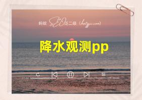 降水观测pp