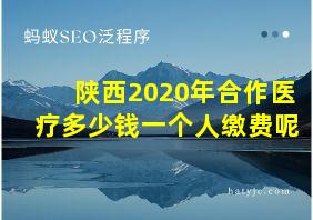 陕西2020年合作医疗多少钱一个人缴费呢