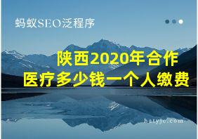 陕西2020年合作医疗多少钱一个人缴费