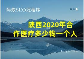 陕西2020年合作医疗多少钱一个人