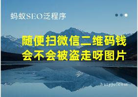 随便扫微信二维码钱会不会被盗走呀图片