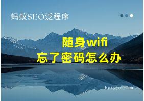 随身wifi忘了密码怎么办