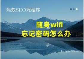 随身wifi忘记密码怎么办