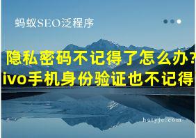 隐私密码不记得了怎么办?vivo手机身份验证也不记得了