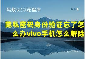 隐私密码身份验证忘了怎么办vivo手机怎么解除