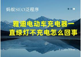 雅迪电动车充电器一直绿灯不充电怎么回事