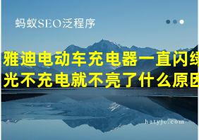 雅迪电动车充电器一直闪绿光不充电就不亮了什么原因