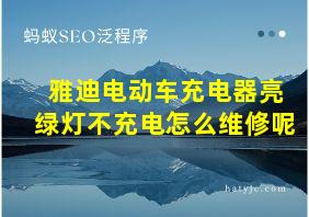 雅迪电动车充电器亮绿灯不充电怎么维修呢