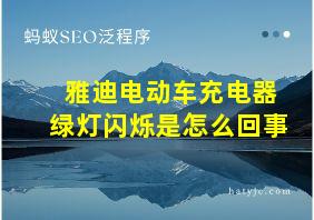 雅迪电动车充电器绿灯闪烁是怎么回事