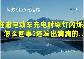 雅迪电动车充电时绿灯闪烁是怎么回事?还发出滴滴的...