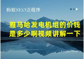 雅马哈发电机组的价钱是多少啊视频讲解一下