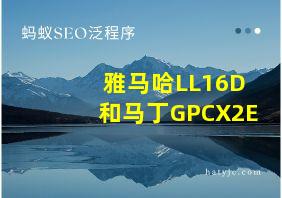 雅马哈LL16D和马丁GPCX2E