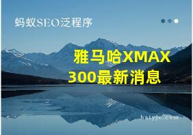 雅马哈XMAX300最新消息