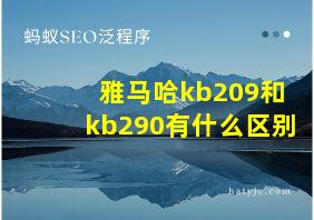 雅马哈kb209和kb290有什么区别