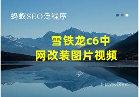 雪铁龙c6中网改装图片视频