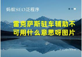 雷克萨斯驻车辅助不可用什么意思呀图片