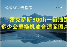 雷克萨斯300h一箱油跑多少公里换机油合适呢图片