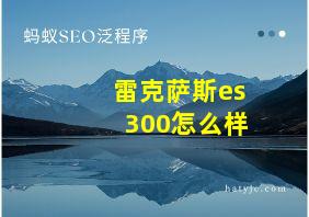 雷克萨斯es 300怎么样