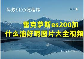 雷克萨斯es200加什么油好呢图片大全视频