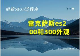 雷克萨斯es200和300外观