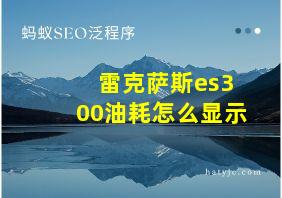 雷克萨斯es300油耗怎么显示