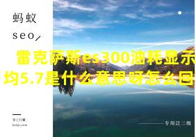 雷克萨斯es300油耗显示平均5.7是什么意思呀怎么回事