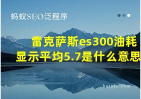 雷克萨斯es300油耗显示平均5.7是什么意思