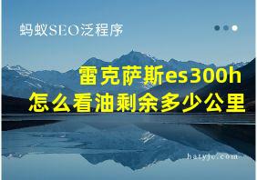 雷克萨斯es300h怎么看油剩余多少公里