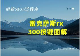 雷克萨斯rx300按键图解