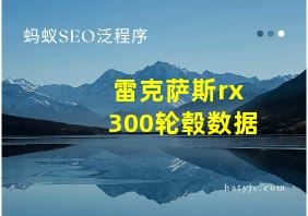 雷克萨斯rx300轮毂数据