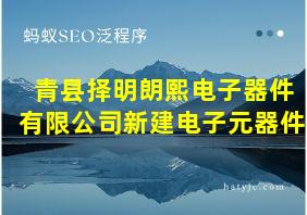 青县择明朗熙电子器件有限公司新建电子元器件