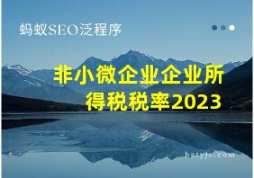 非小微企业企业所得税税率2023