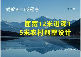 面宽12米进深15米农村别墅设计