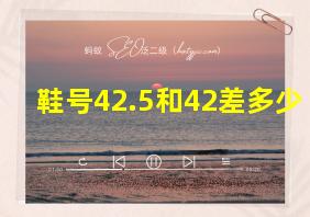 鞋号42.5和42差多少