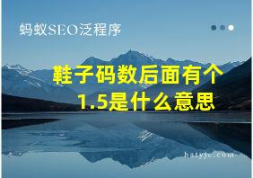 鞋子码数后面有个1.5是什么意思