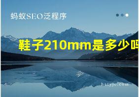 鞋子210mm是多少吗