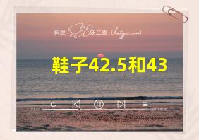 鞋子42.5和43