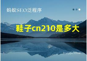 鞋子cn210是多大