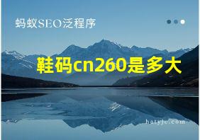 鞋码cn260是多大